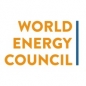 The World Energy Council Future Energy Leaders Programme logo